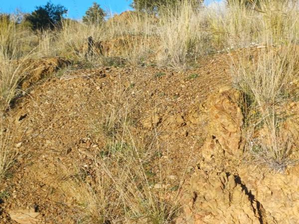 Terreno en Almáchar