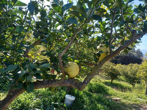 Terreno en calle Polígono 8, 8