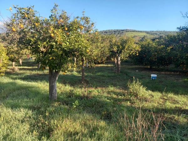 Terreno en calle Polígono 8, 8