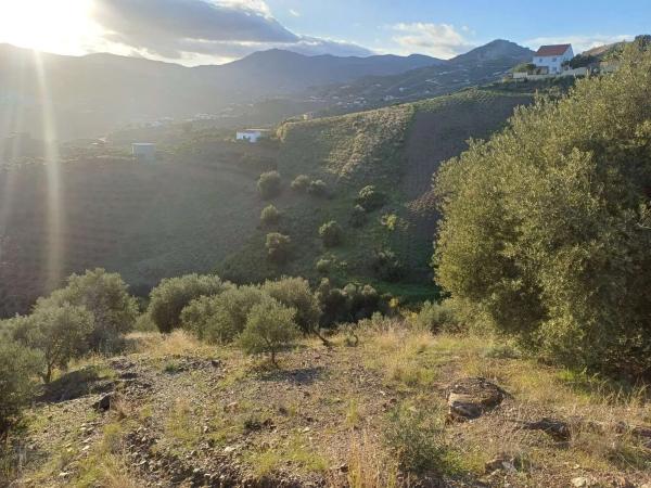 Terreno en Almáchar