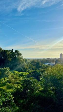 Terreno en calle José Medina, 60