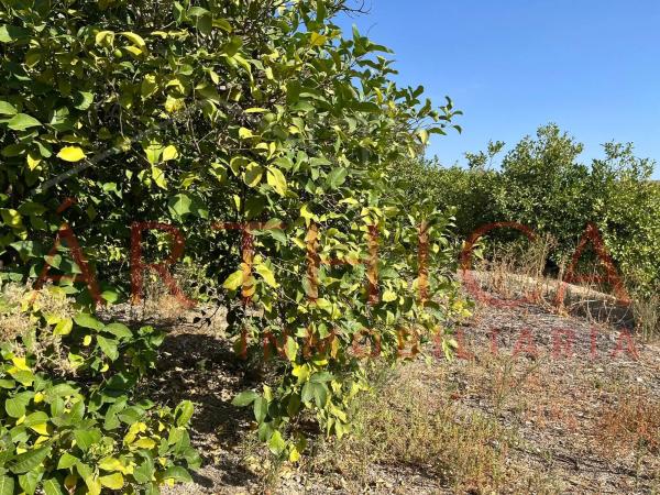 Terreno en avenida de Andalucia