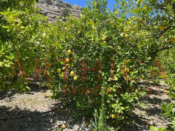 Terreno en avenida de Andalucia