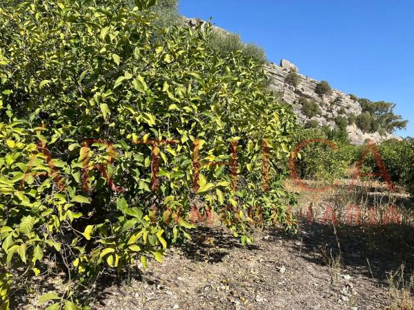 Terreno en avenida de Andalucia