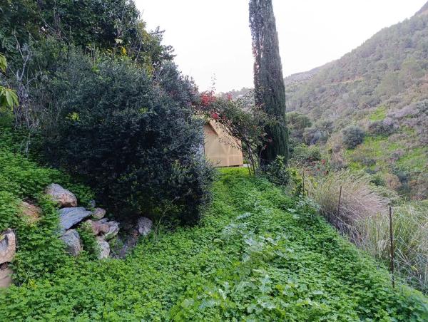 Terreno en Rio De La Miel, km 6