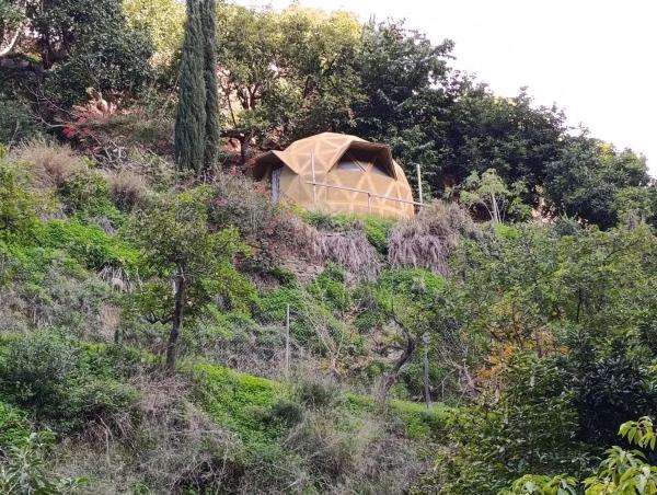Terreno en Rio De La Miel, km 6