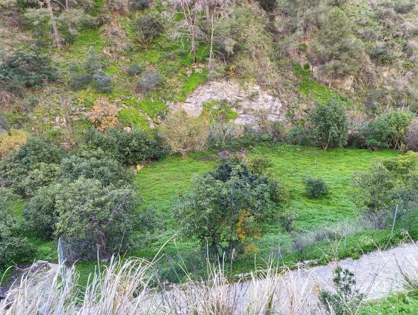 Terreno en Rio De La Miel, km 6