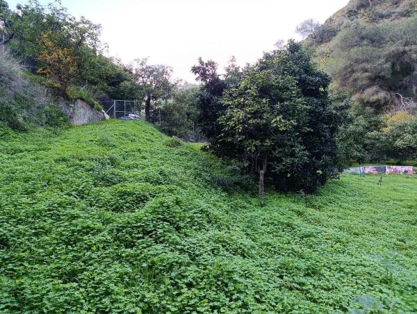 Terreno en Rio De La Miel, km 6