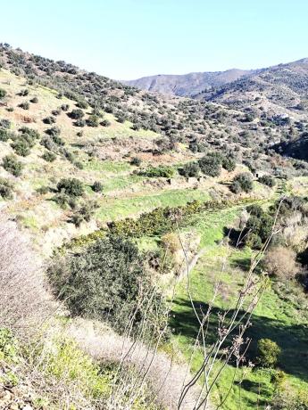 Terreno en Molino Chapaleta s/n