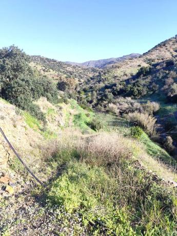 Terreno en Molino Chapaleta s/n