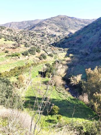 Terreno en Molino Chapaleta s/n