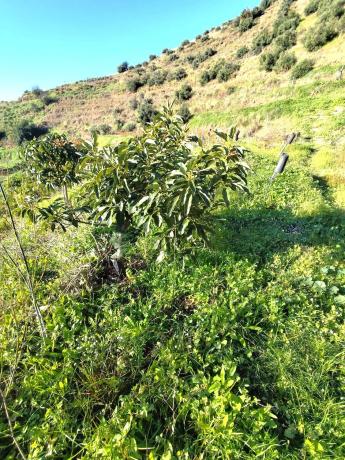 Terreno en Molino Chapaleta s/n