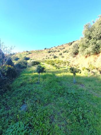 Terreno en Molino Chapaleta s/n