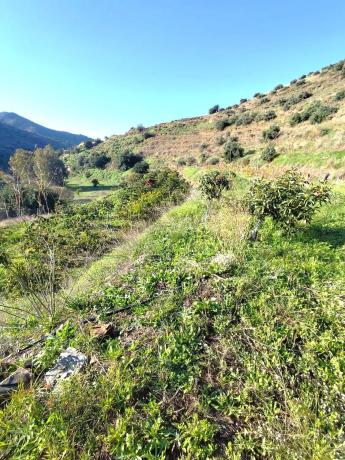 Terreno en Molino Chapaleta s/n