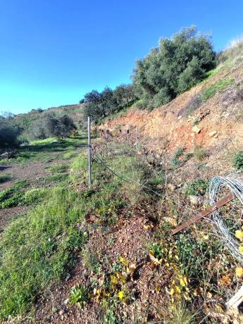 Terreno en Molino Chapaleta s/n