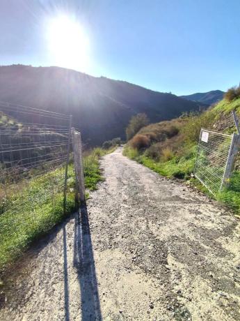 Terreno en Molino Chapaleta s/n