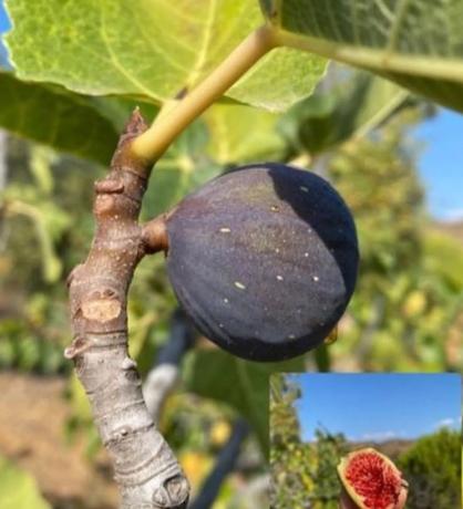 Terreno en A-7000 s/n