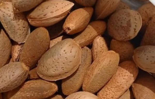 Terreno en A-7000 s/n