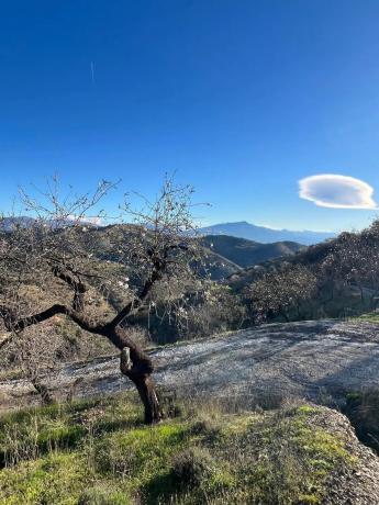 Terreno en A-7000 s/n