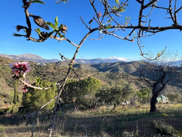 Terreno en A-7000 s/n