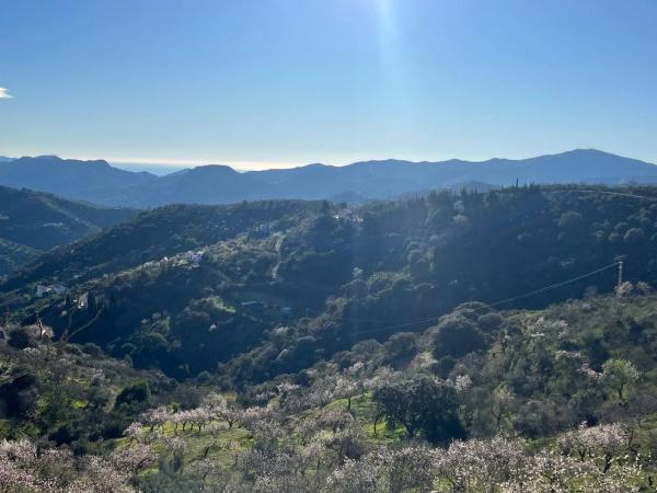 Terreno en A-7000 s/n