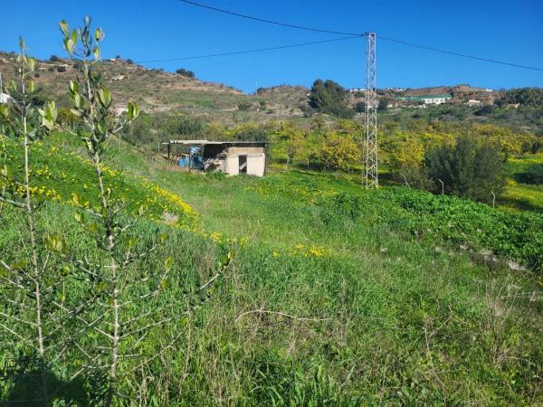 Terreno en Estación