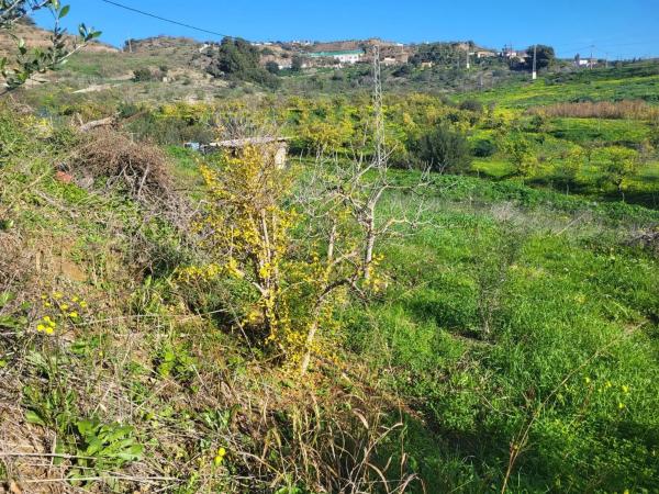 Terreno en Estación