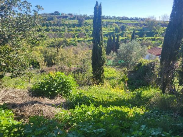 Terreno en Estación