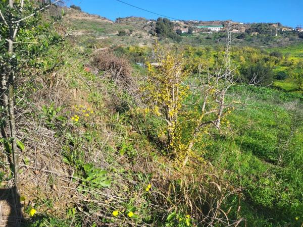 Terreno en Estación