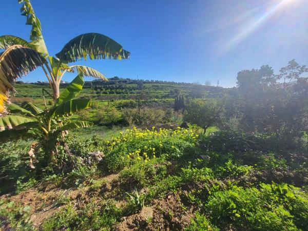 Terreno en Estación
