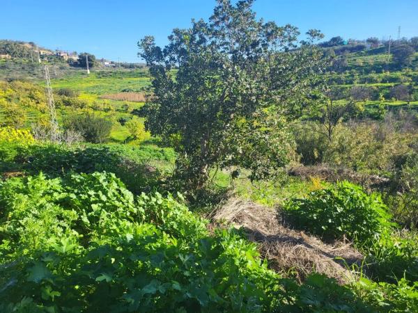 Terreno en Estación