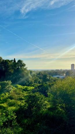 Terreno en calle José Medina, 58