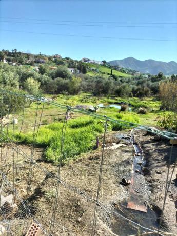 Terreno en 19, parcela 170 s/n