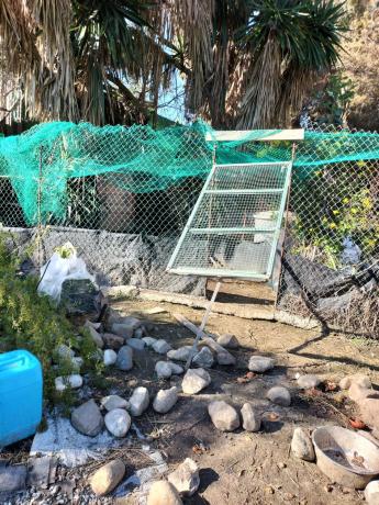 Terreno en 19, parcela 170 s/n