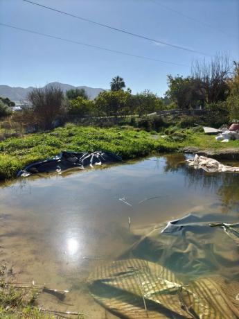 Terreno en 19, parcela 170 s/n