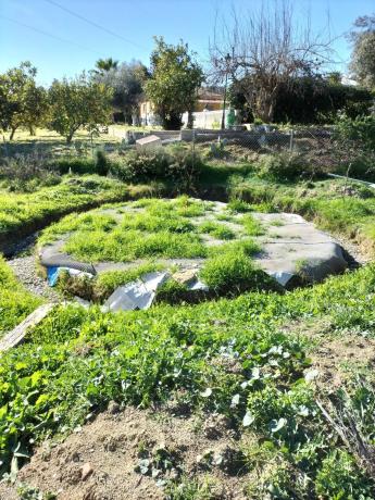 Terreno en 19, parcela 170 s/n