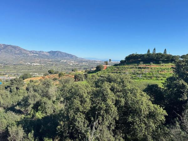 Terreno en calle Ibérica s/n
