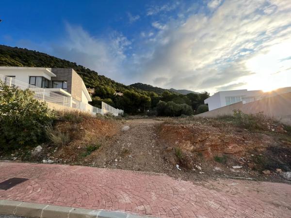 Terreno en calle Araucaria, 14