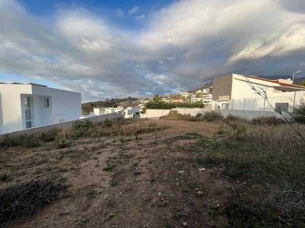 Terreno en calle Araucaria, 14
