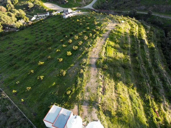 Terreno en camino de los Pilones, 43