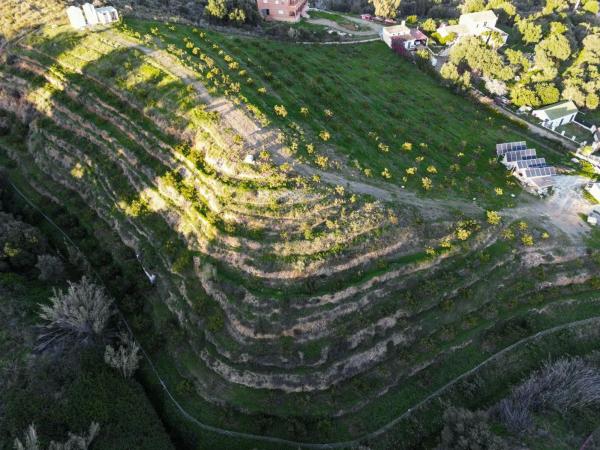 Terreno en camino de los Pilones, 43