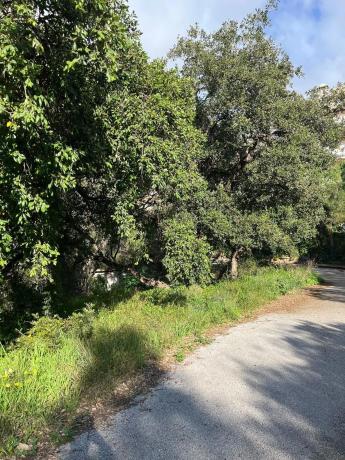 Terreno en paseo de Austria s/n