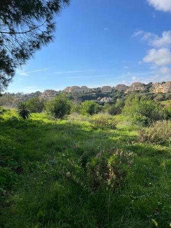 Terreno en paseo de Austria, 13