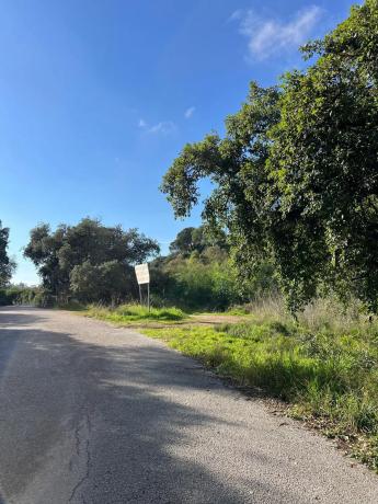 Terreno en paseo de Austria s/n