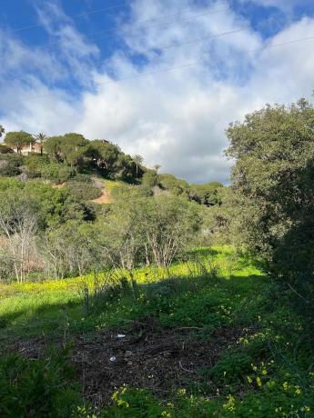 Terreno en paseo de Austria, 13