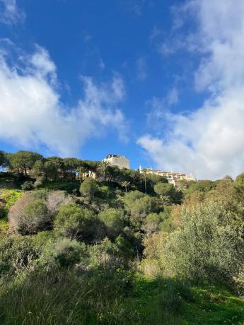 Terreno en paseo de Austria, 13