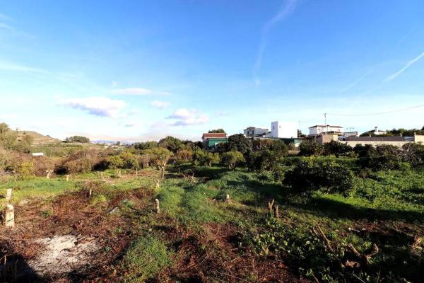 Terreno en El Cigarral - Dehesa - Borrajo