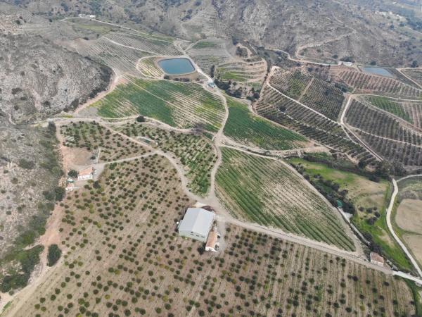 Terreno en Malaga Tropical s/n