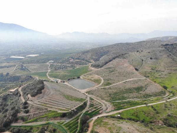 Terreno en Malaga Tropical s/n