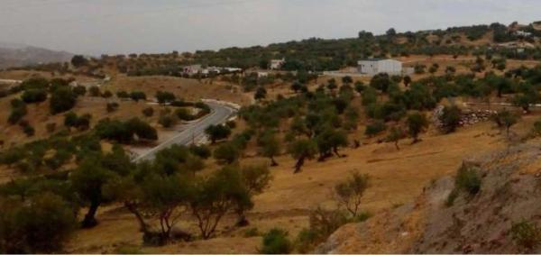 Terreno en camino Nuevo s/n